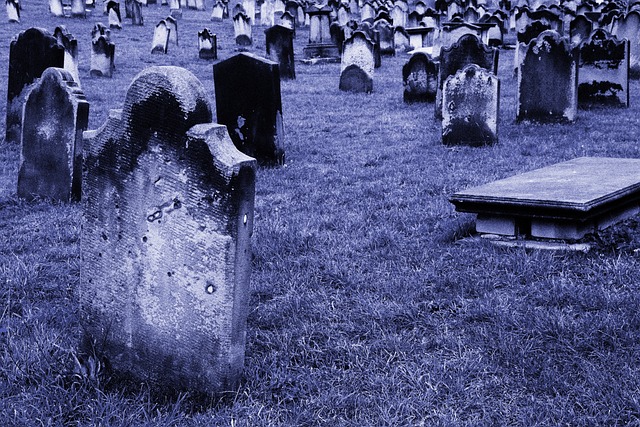 how many bodies can be buried in one grave